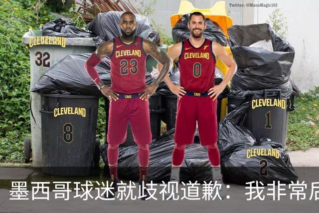 墨西哥球迷就歧视道歉：我非常后悔，已辞去工程师协会职务